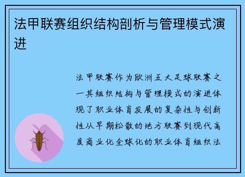 法甲联赛组织结构剖析与管理模式演进